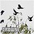 Crows